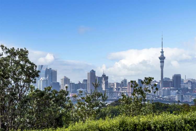 1/223 Onewa Road Birkenhead_17