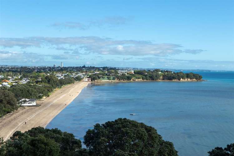 85 Vauxhall Road Devonport_19