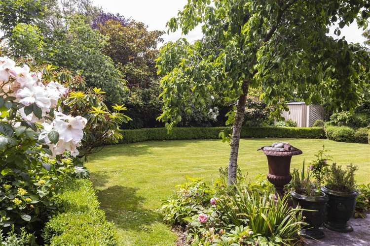 17 Desmond Street Merivale_13