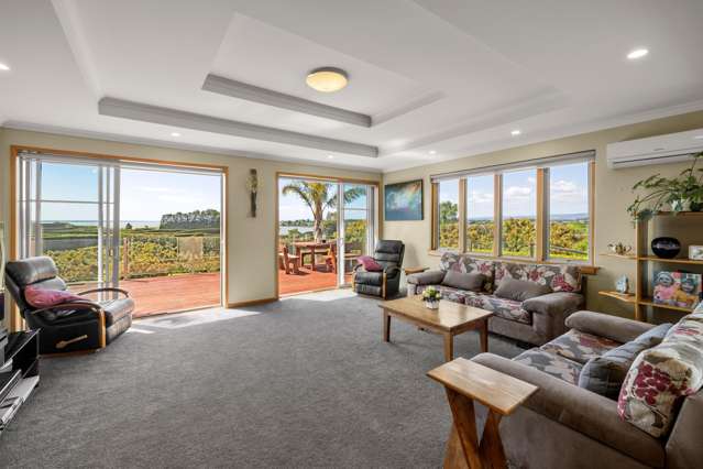 11b Stokes Road Katikati_2