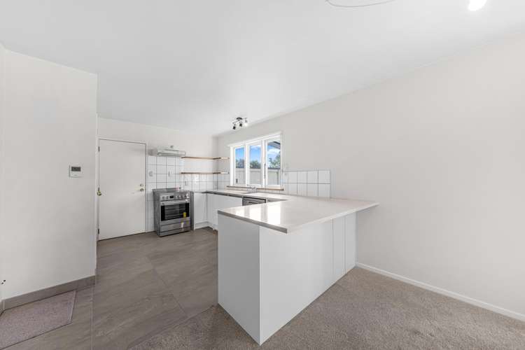 18a Haig Avenue Mount Roskill_11