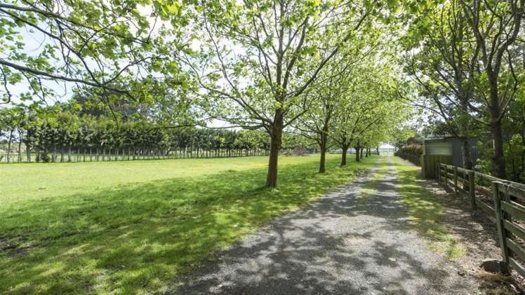 100 Walker Road Opaheke_16