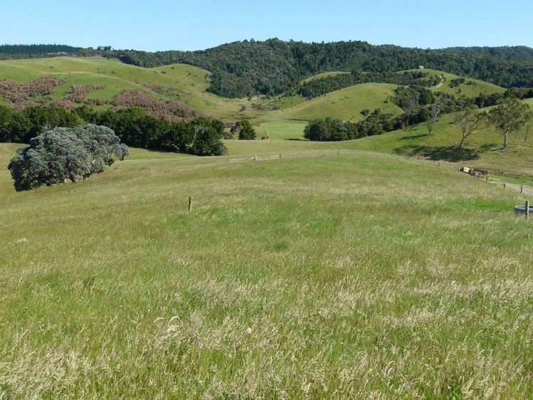 171 Prescott Road Ruakaka_8