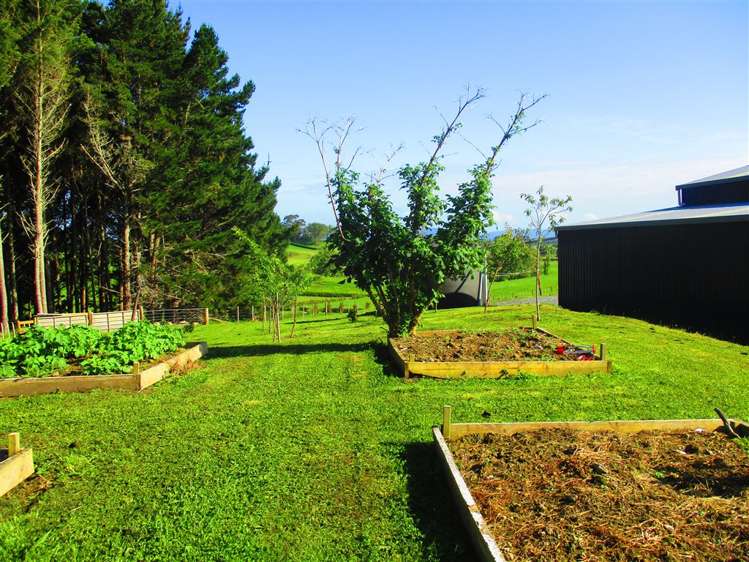 17 Robertson Road Whatawhata_16