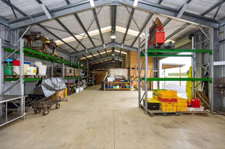 189 Settlement Road Puni_14