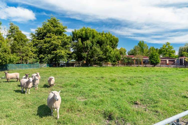 399 Cossey Road Drury_17