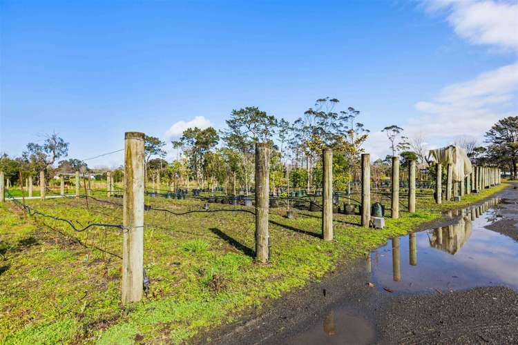 1285 Dairy Flat Highway Dairy Flat_28