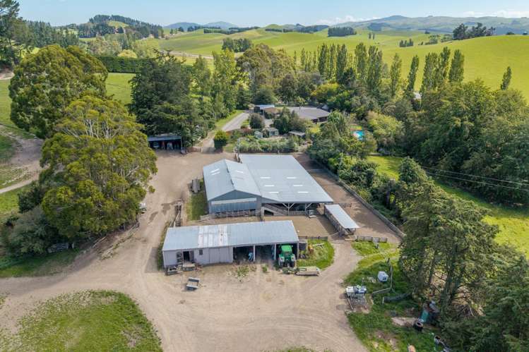 299 Domett Road Domett_13