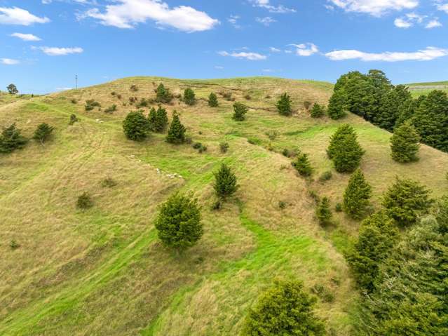 Hayward Road Maungakaramea_2