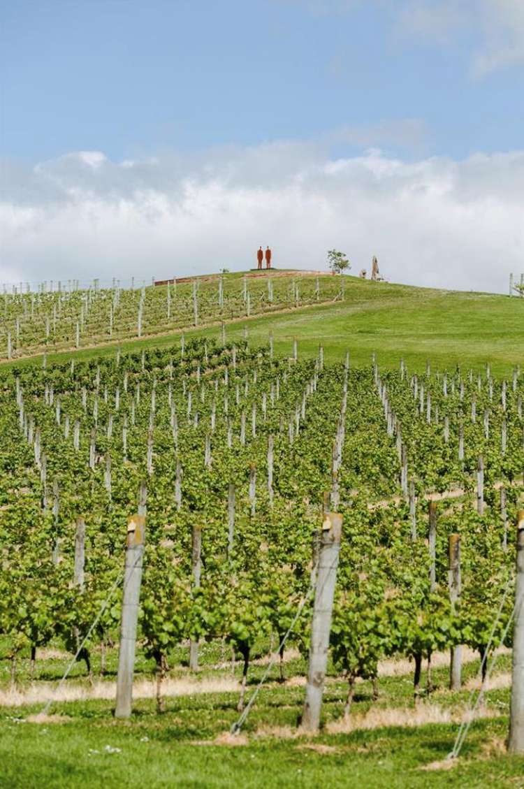 33 Ella Anne Crescent Warkworth_8