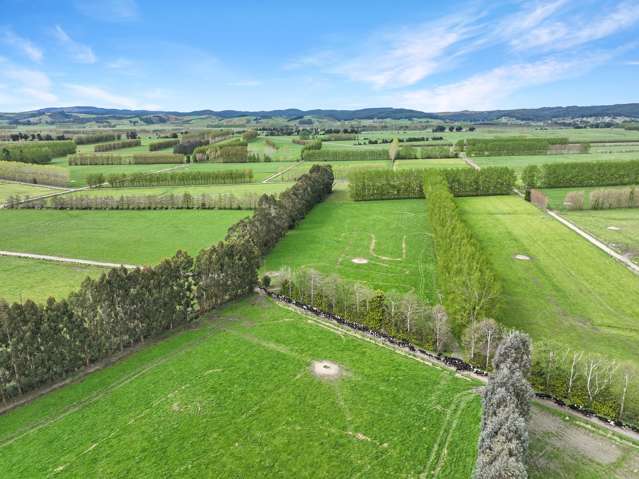 119 The Crescent Road Kaitangata_3