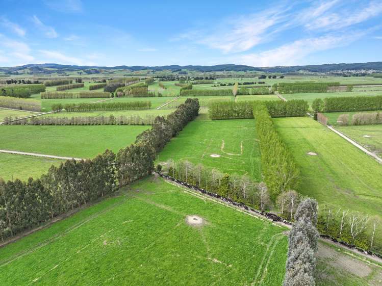 119 The Crescent Road Kaitangata_3