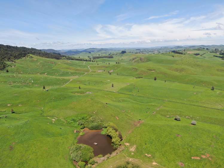 Kahuwera Road Piopio_25