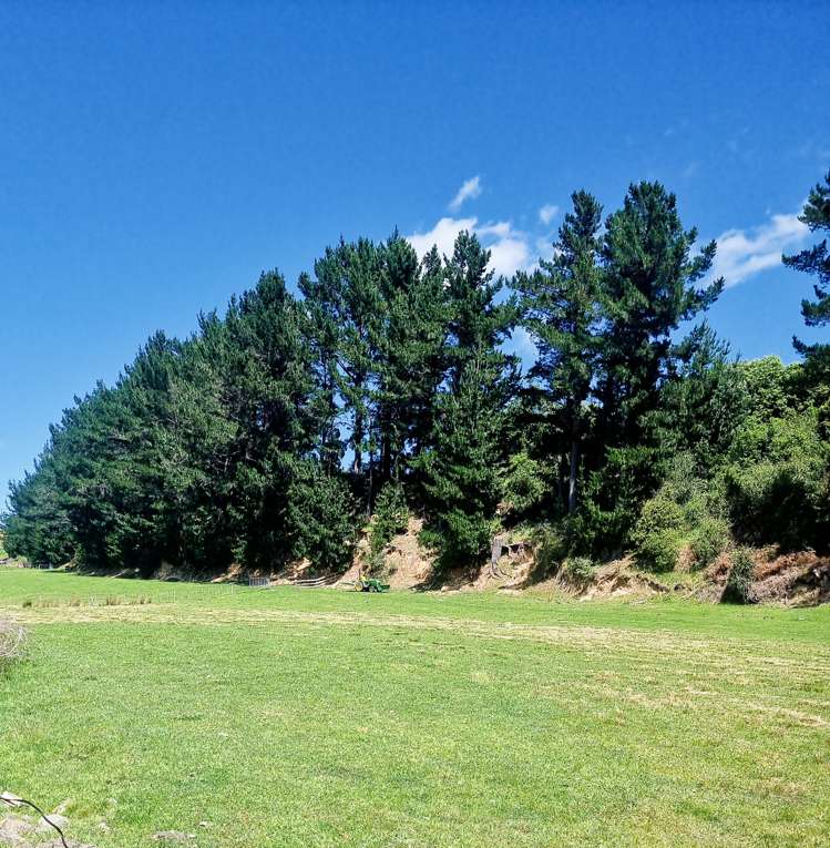 9 Buckley Road Shannon_7