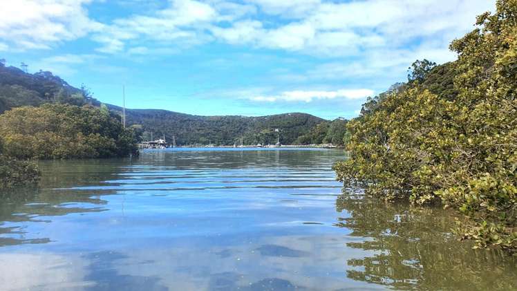 Lot 4 DP66008 North Cove Kawau Island_20