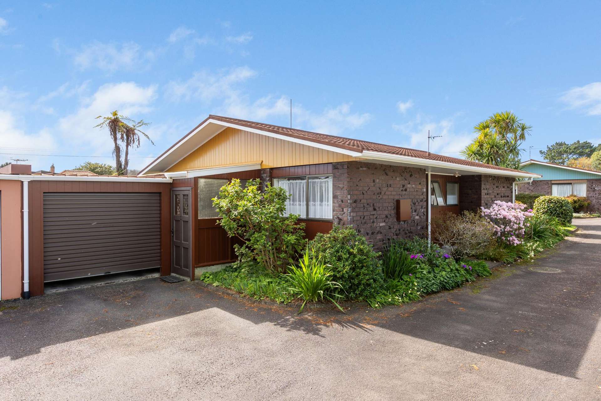 2/145 Tukapa Street Westown_0