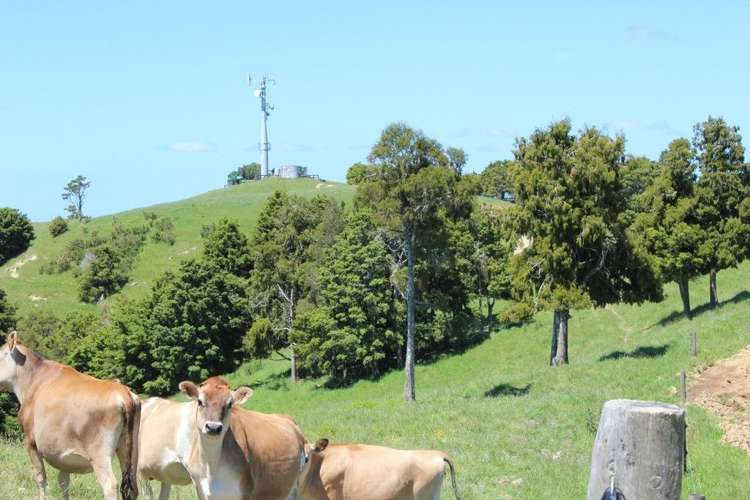 750 Hukerenui Road Hukerenui and Surrounds_5