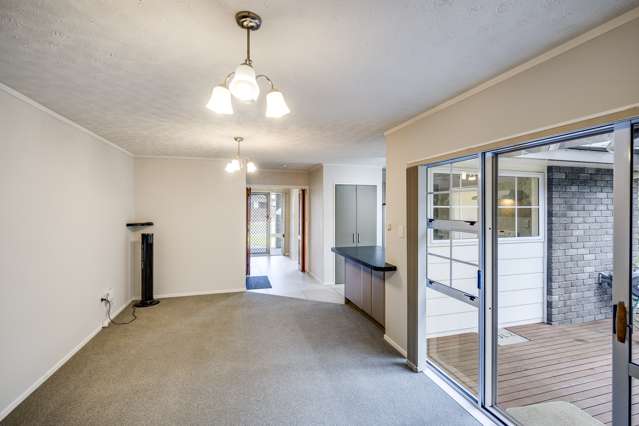 4 Alley Place Taradale_4