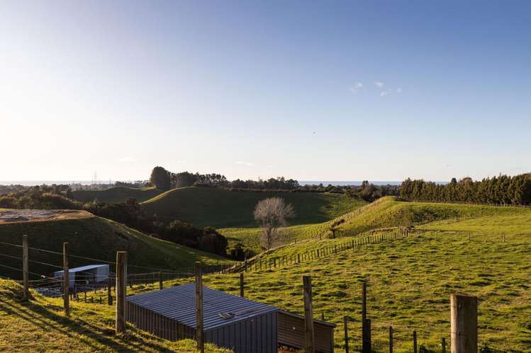 576A Mangorei Road Mangorei_28