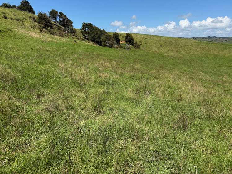 860 Kaiwaka-Mangawhai Road Kaiwaka_4