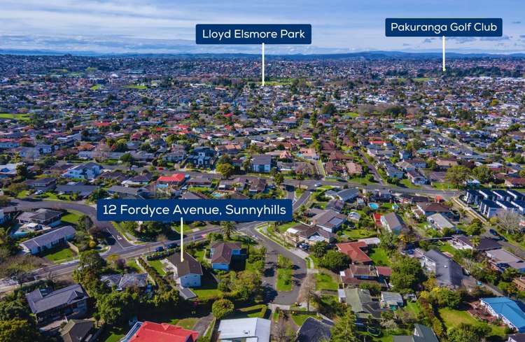 12 Fordyce Avenue Sunnyhills_28