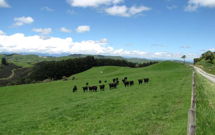 205 Kaweka Road Taihape and Surrounds_15