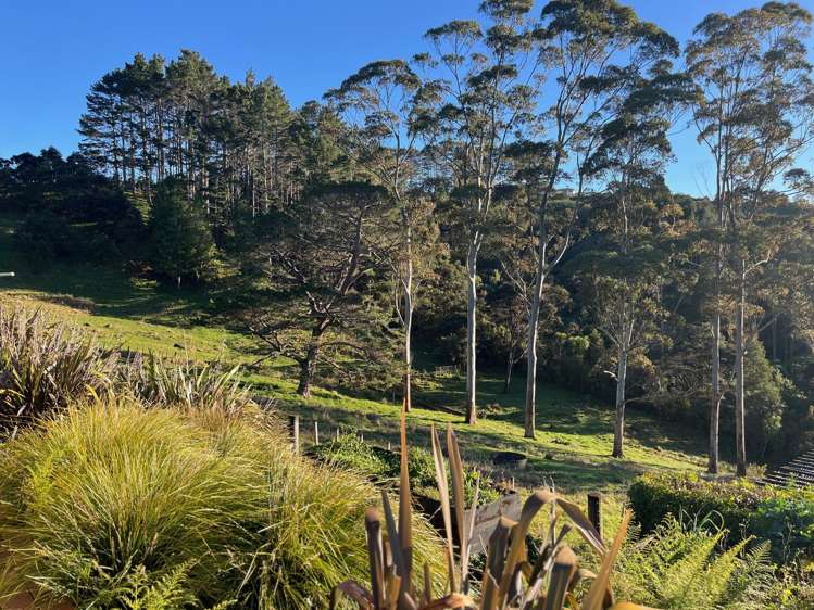 174 Zanders Road Waimauku_2