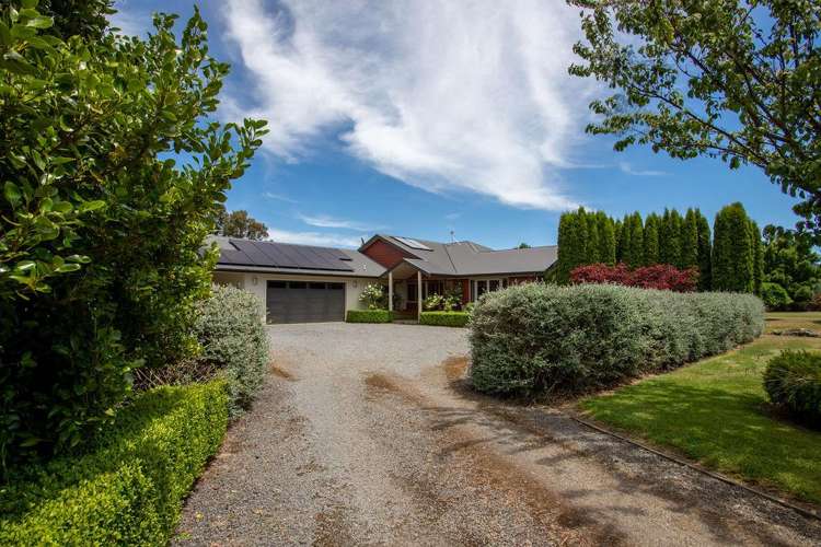 254A Mangateitei Road Rangataua_22