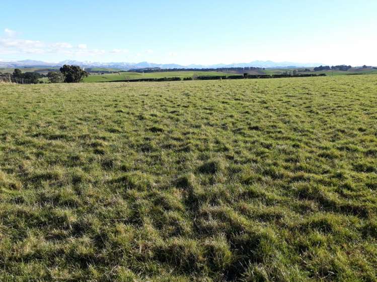 211 Whitstone-Five Forks Road Five Forks and Surrounds_10