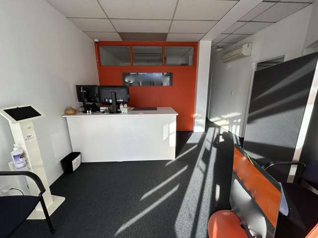207 Castle Street Dunedin Central_1