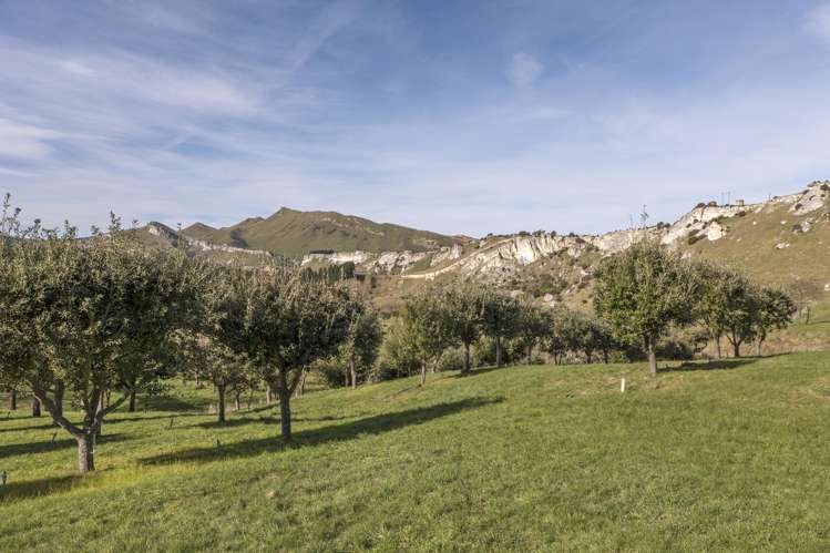 101 Laidmore Road Broomfield_13