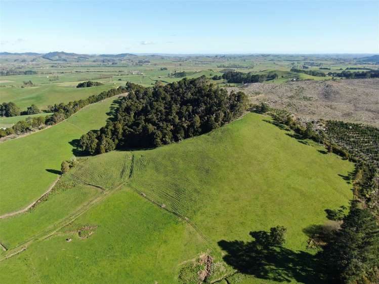 52 Kopuku Road Waerenga_14