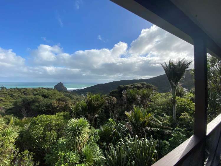 22 Pendrell Road Piha_7