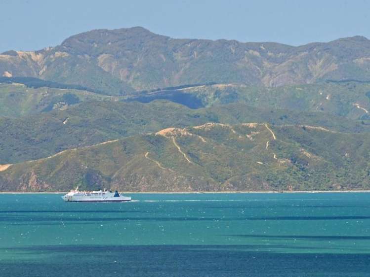 9 Sovereign Point Kaiwharawhara_17