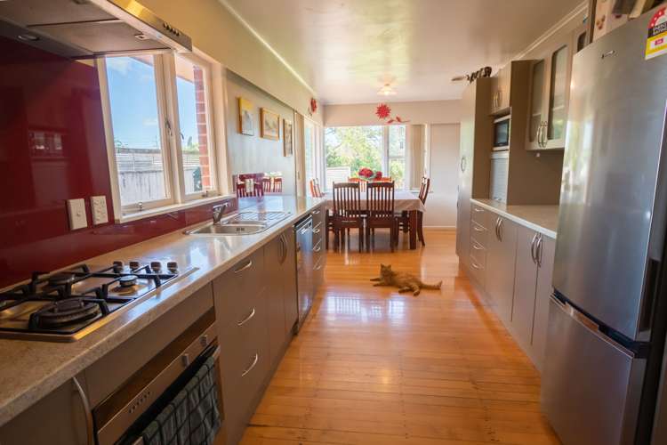 2 Pond Street Ngaruawahia_1