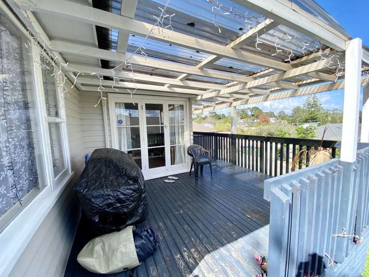 104 Webster Avenue Mount Roskill_16