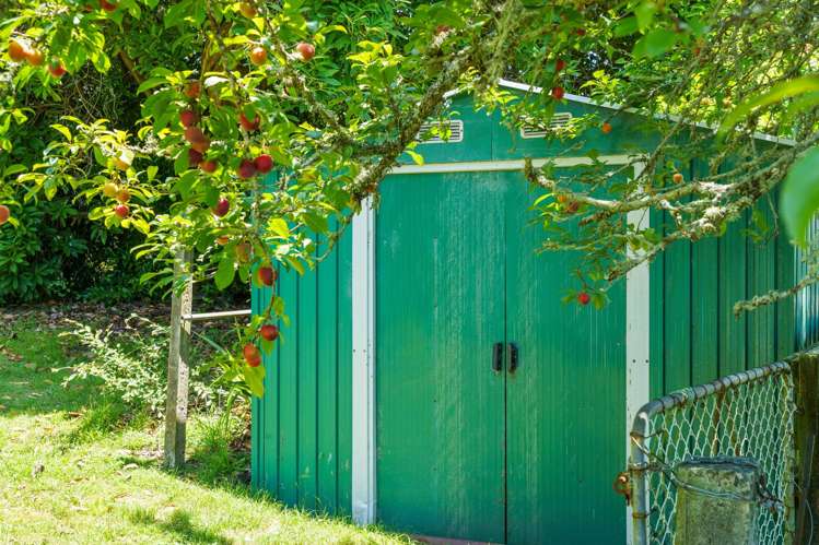 779 Oropi Road Oropi_17