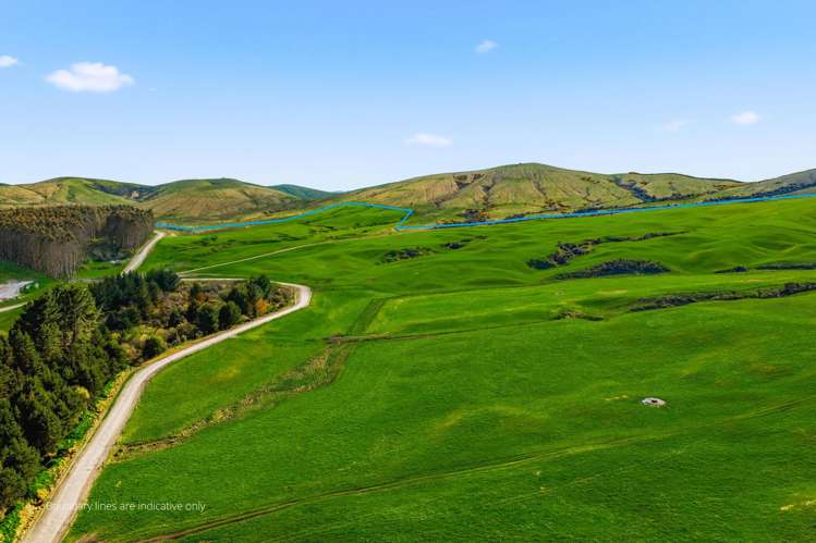 2/1389 Taharua Road Rangitaiki_24