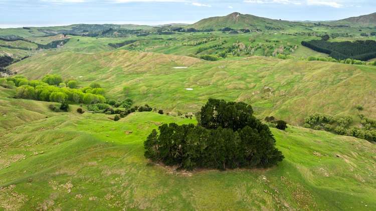 139 Clareinch Road Omakere_22