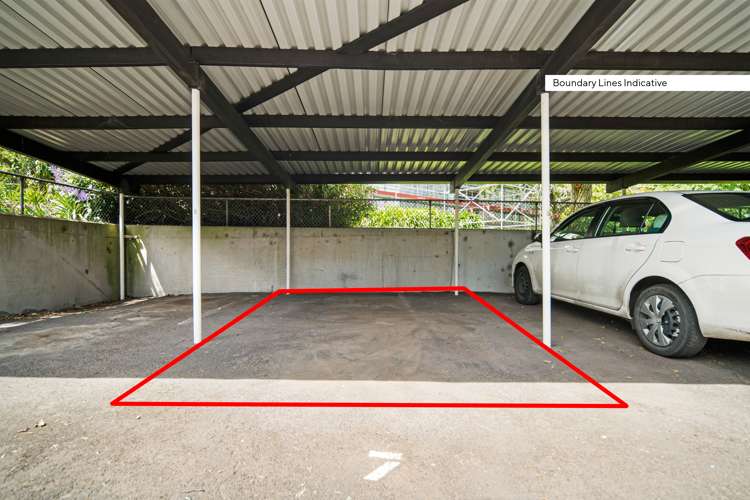 7/142 Howe Street Freemans Bay_19