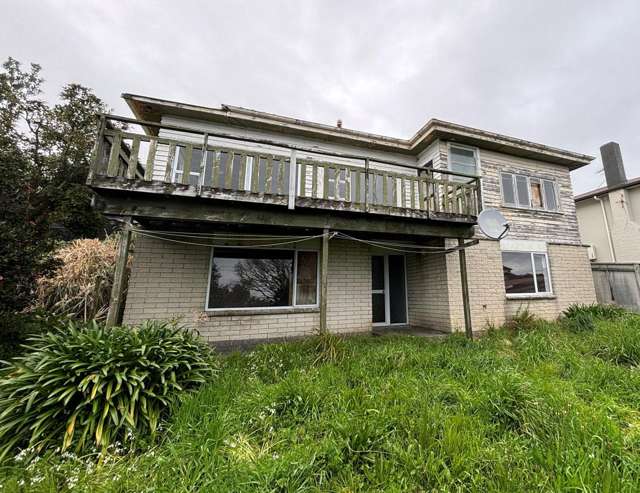 11 South Road Moturoa_1