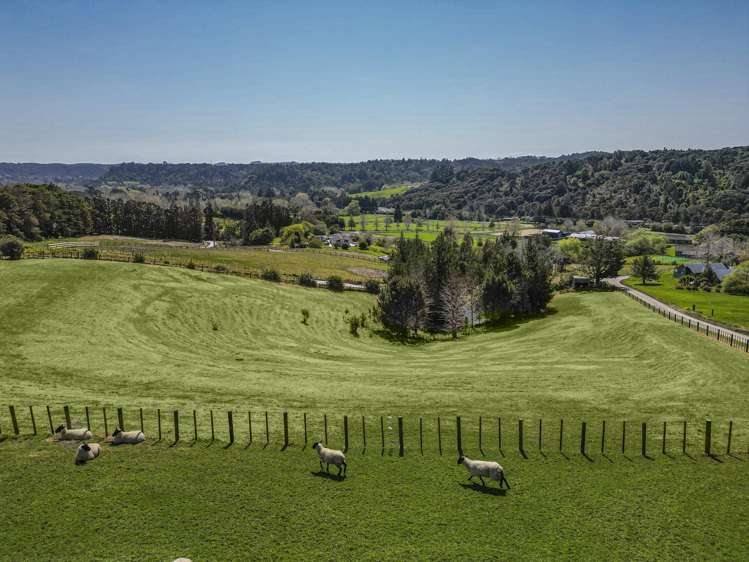 112B Mahoenui Valley Road Coatesville_14