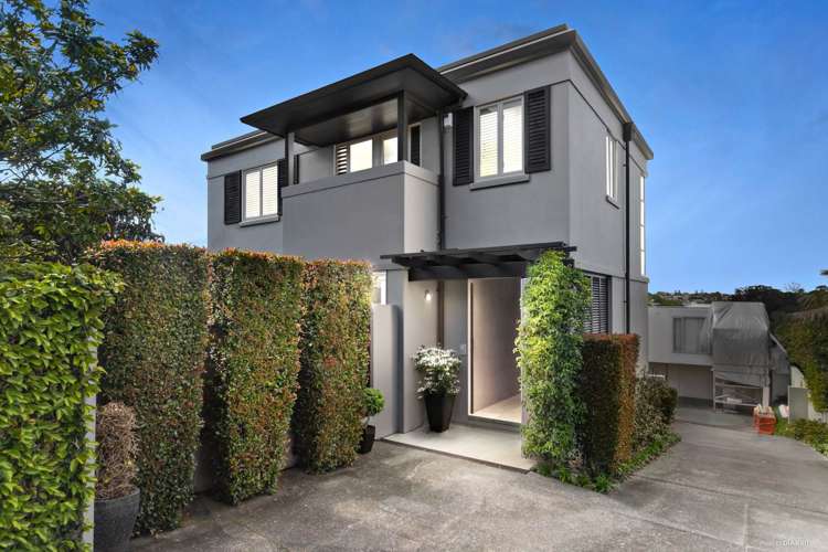 19 Elam Street Parnell_29