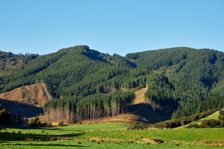 Crail Bay Kenepuru Sound_8