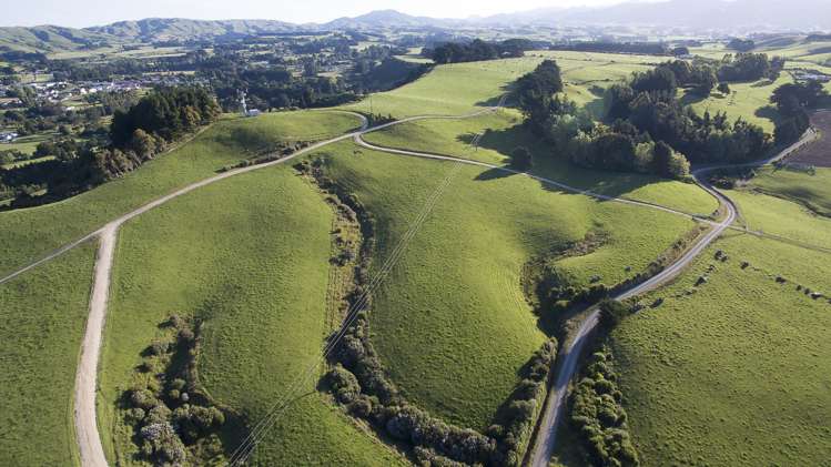 275 Cliff Road Eketahuna_18