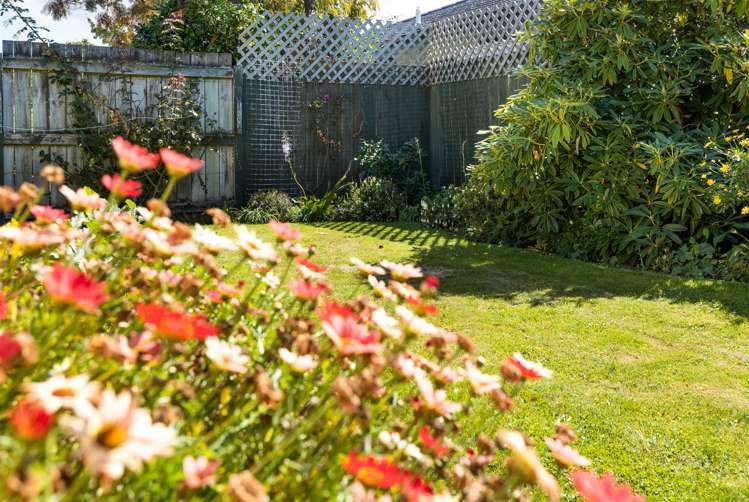 31b Litchfield Street Redwoodtown_19