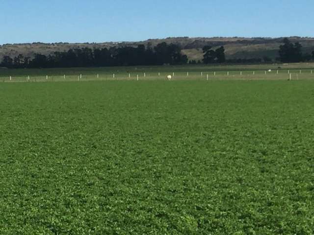 759 Gladbrook Road Middlemarch_4