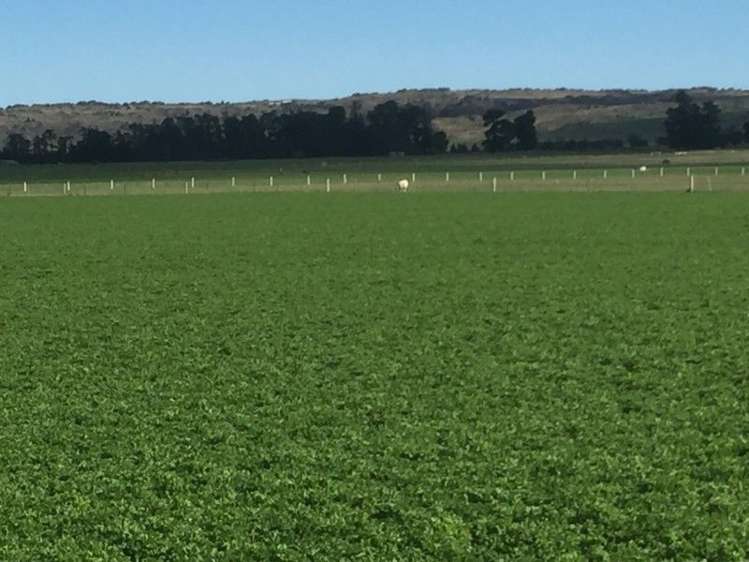 759 Gladbrook Road Middlemarch_4