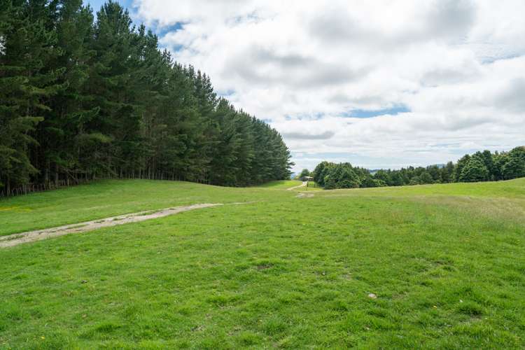 2603 State Highway 41 Kuratau_6