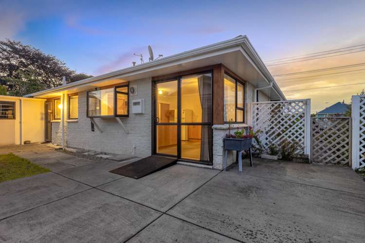 50 Winchester Street Levin_15